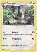 Staravia · Darkness Ablaze (SWSH3) #146