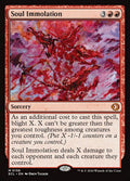 Soul Immolation · Lorwyn Eclipsed (ECL) #156