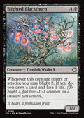 Blighted Blackthorn · Lorwyn Eclipsed (ECL) #90