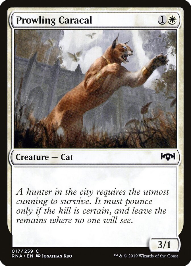 Prowling Caracal · Ravnica Allegiance (RNA) #17