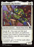 Leonardo, Big Brother · Teenage Mutant Ninja Turtles (TMT) #14