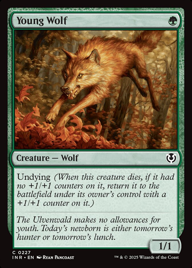Young Wolf · Innistrad Remastered (INR) #227