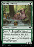 Basking Capybara · The Lost Caverns of Ixalan (LCI) #175
